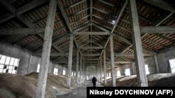 У листі трьох литовських міністрів зазначається, що балтійські порти можуть допомогти транспортувати 25 мільйонів тонн зерна щорічно.