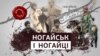 Хто такі ногайці, де жили і чим займалися на українських теренах?