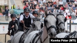 Fogathajtó program a 2023-as Nemzeti Vágtán Szilvásváradon