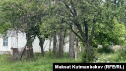 Кандуу окуя болгон үйдүн короосу. 