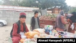 چند تن از فروشنده گان مواد غذایی در پروان