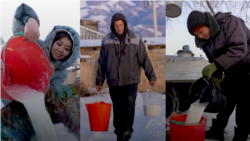 Кеминди баккан сүт бизнеси