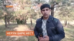 Дар Рӯзи модар ҳам маҳдудияти нерӯи барқ аз байн нарафт