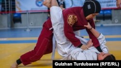 Жиу-житсу боюнча Кыргызстандын чемпионаты. Бишкек шаары. 
