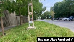 Gyanús gyomok Zuglóban