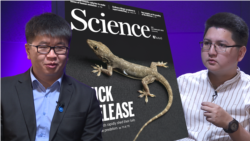 "Бир тал чачка Гимн жазса болот". Илим изилдеген Ажымурат