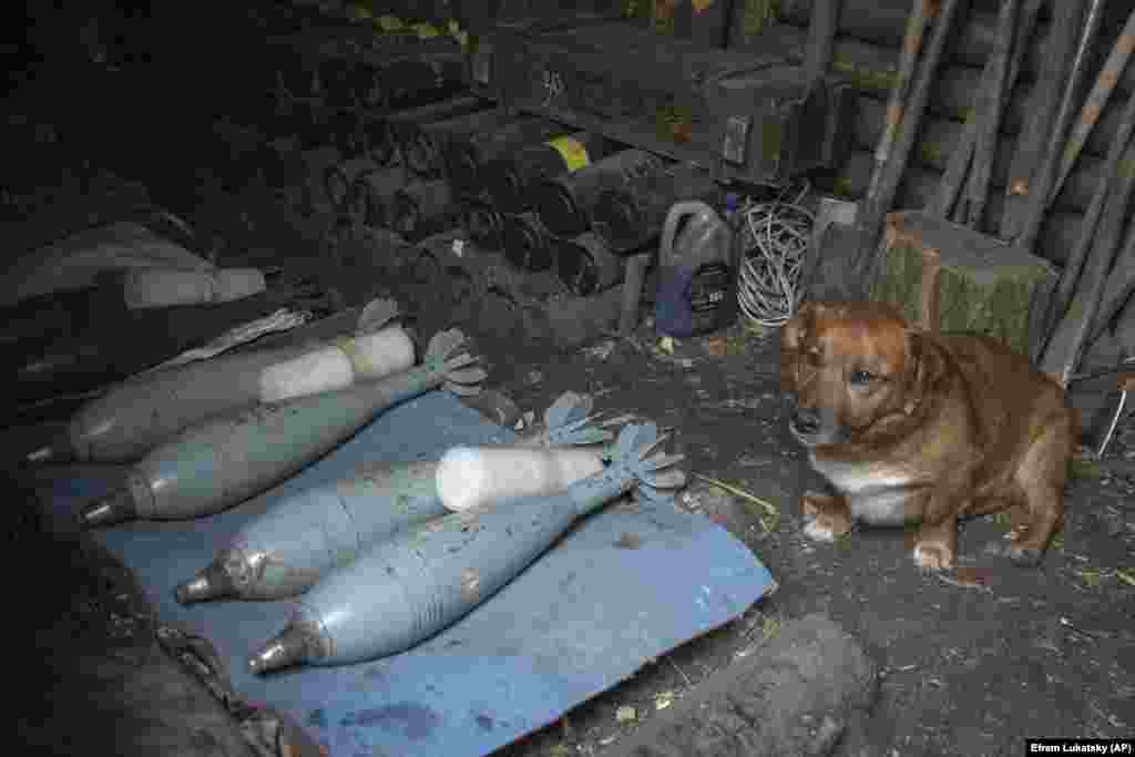 Usled kašnjenja u isporuci zapadnog naoružanja i municije, brigada zavisi od granata proizvedenih na lokalnom nivou. Prema ukrajinskim zvaničnicima, domaća proizvodnja minobacačkih granata kalibra 60, 82 i 120 mm drastično je porasla 2023. godine u poređenju sa prethodnim godinama.