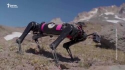 Айдын бетиндеги төрт буттуу робот