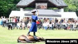 Csikósbemutató Tiszafüreden: szuverenitásvédelem mindenekfelett