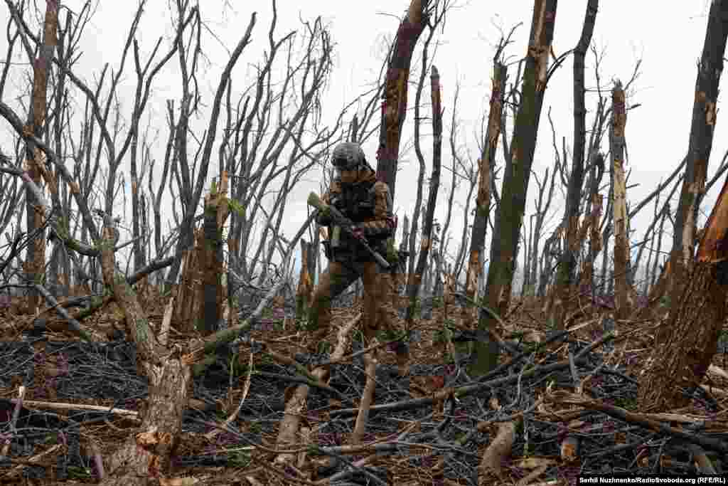 Убитий ліс... Військовий 10-ї окремої гірсько-штурмової бригади &laquo;Едельвейс&raquo; під час штурму позиціях Збройних Сил РФ. Район Бахмута,11 травня 2023 року