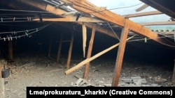 Правоохоронці відкрили кримінальне провадження про порушення законів та звичаїв війни, поєднане з умисним вбивством