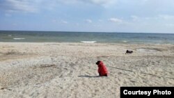 Собаки Юлії Мельникової на Дніпровському лимані