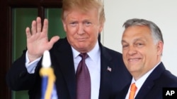 Дональд Трамп і Віктор Орбан