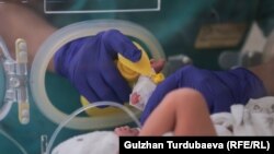 Иллюстрациялык сүрөт.