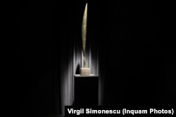 „Pasărea în văzduh”, din Colecția Peggy Guggenheim Veneția, la Timișoara.