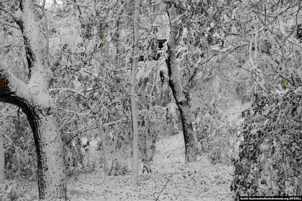 Попри красу, в місті сніговий колапс залишив багато будинків без світла та водопостачання