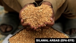 Fotografi ilustruese. 