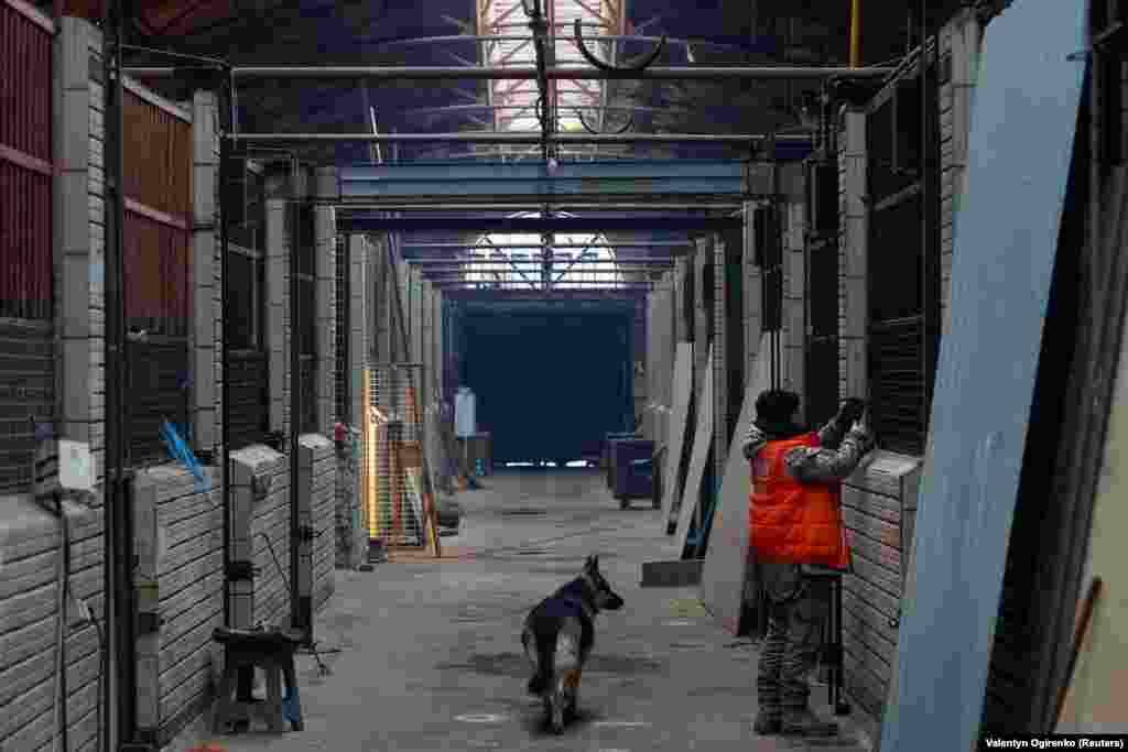 Popova je prvobitno koristila novac zarađen na poslu s konjima za finansiranje svog skloništa. Međutim, posle početka ruske invazije, posao s konjima više nije bio profitabilan. Sada svoje vreme koristi za brigu o životinjama ili putujući na prve linije fronta kako bi spasila još više životinja.