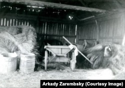 Клуня на садибі. Село Чернишівка Владивостоцького округу, 1929 рік