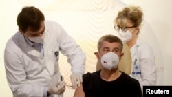 Andrej Babiš cseh miniszterelnököt oltják. Annyi egészségügyi minisztere volt az elmúlt hónapokban, hogy talán már követni sem tudja.