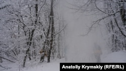 За повідомленням, у гірських районах Закарпатської області існує загроза зсувів снігу на дороги