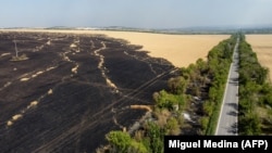 Олег Синєгубов каже, що окупанти свідомо ведуть обстріли полів із стиглою пшеницею, внаслідок чого знищується урожай