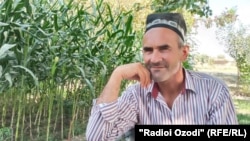 Мирзовалӣ Шарипов