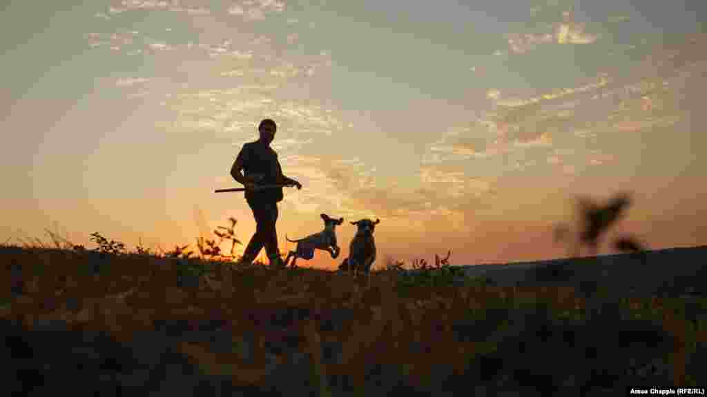 În căutare de de trufe în nordul Bulgariei pe 9 august. (Amos Chapple, RFE/RL) Chapple a scris: &bdquo;De ani de zile am auzit despre trufele după care se săpa în pădurile Bulgariei, dar a fost întotdeauna greu să aflu detalii. Mi s-a părut unul din acele lucruri neclare, îndepărtate și greu accesibile. Apoi am găsit un ghid la Sofia care avea contacte în industria trufelor. Prin intermediul lui l-am întâlnit pe căutătorul de de trufe&nbsp;Ivailo Penev&nbsp;și pe cei doi adorabili câini ai săi. Uneori fotografiile surprind un moment care ar putea să nu reflecte pe de-a-ntregul restul experienței, dar această fotografie e o bună reprezentare a vieții profesionale a lui Penev: în natură, la răsăritul soarelui, cu unealta sa pentru trufe și cu cei doi câini care nu-și puteau&nbsp; stăpâni bucuria de a începe munca&rdquo;.