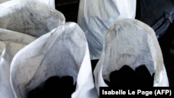 Иллюстрациялык сүрөт. 