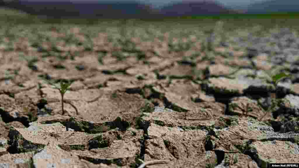 Suša u jezeru Fierza, veštačkom jezeru formiranom da Albaniju snadbeva pitkom vodom.