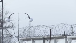 Абактагы аялдардын арманы