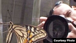 پوستر فیلم در حالی که زیو کورن در حال عکاسی است.