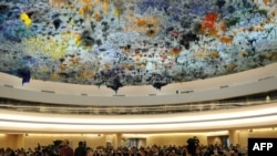 С 10 по 16 июня в Женеве проходила XVII сессия Совета ООН по правам человека