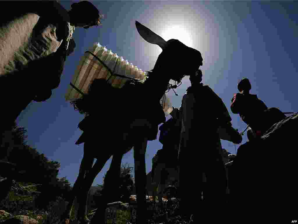 Гласачките кутии се пренесуваат со магариња