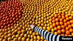 Fotografi ilustruese