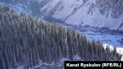 Ала-Арча паркы. 