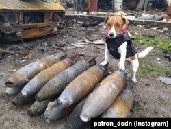 На цьому архівному фото вже сам Патрон, який через масштабну війну не зміг прибути на вручення премії Каннського кінофестивалю