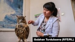 Музейдин кызматкери Сырга Аманалиева.