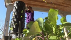 Instant bašta, pomoć u doba pandemije