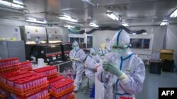 На фотографии показаны технические специалисты, обрабатывающие тесты на коронавирус Covid-19 в лаборатории в Тяньцзине, Китай. 23 ноября 2020 года.