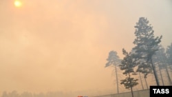 Лісова пожежа, ілюстративне фото