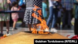 Иллюстрациялык сүрөт.