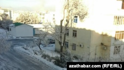 После снегопада. Туркменистан (Фото из архива) 