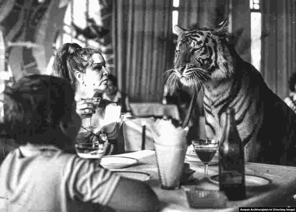 Це зображення з архіву Uj Elet було без підпису. Едгар Шокс сподівається, що цей ресурс дозволить ідентифікувати якомога більше зображень користувачами з перевіреними знаннями і вони зможуть підписати зображення