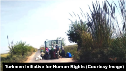 Источник: Turkmen Initiative for Human Rights
