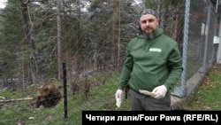 Димитър Иванов, управител на Парка за мечки в Белица от 2008 г.