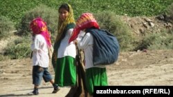 Illýustrasiýa suraty