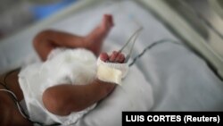 Иллюстративное фото.