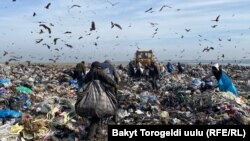 Бишкектин санитардык полигонунда иштеп жүргөн адамдар. 1-апрель, 2022-жыл.