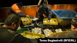 Според договора британските риболовни кораби имат право да извършват улов в райони на Баренцово море (снимката е илюстративна)